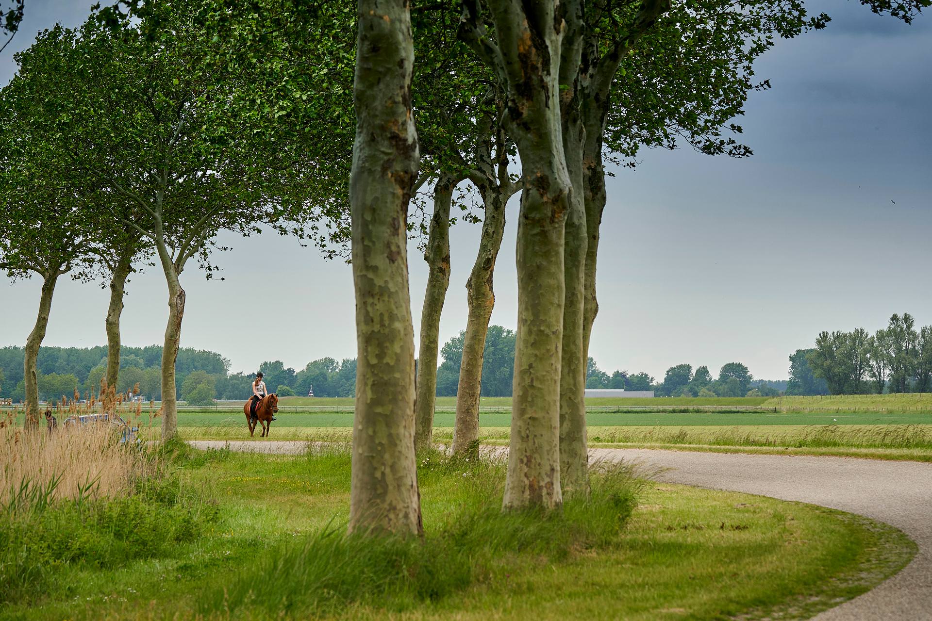 Alle artikelen van het jaar 2012