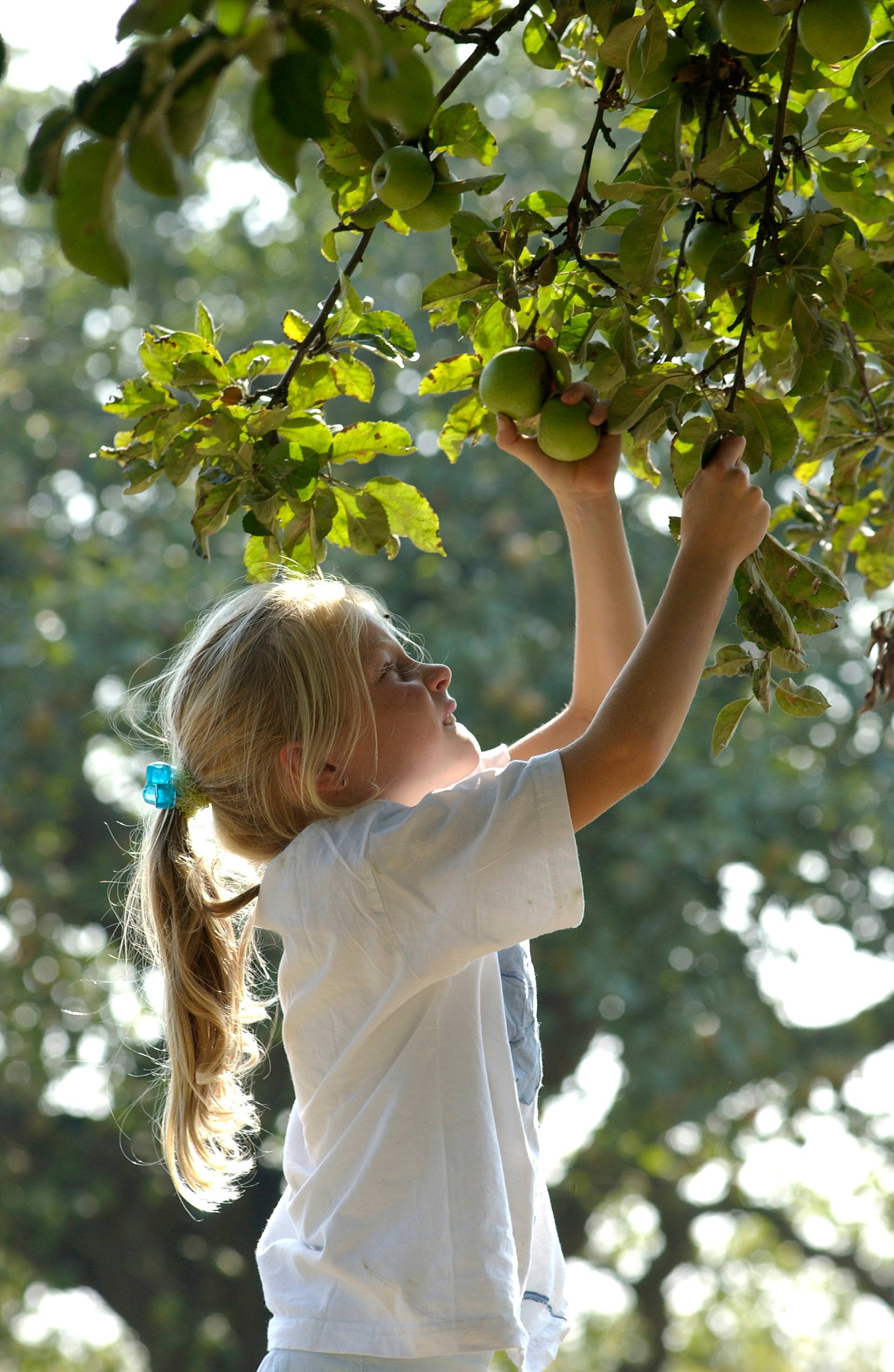 Alle artikelen van het jaar 2016