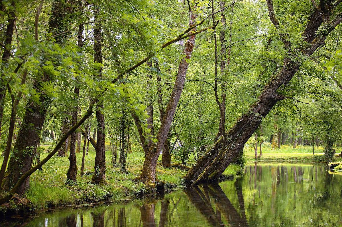 Alle artikelen van het jaar 2017