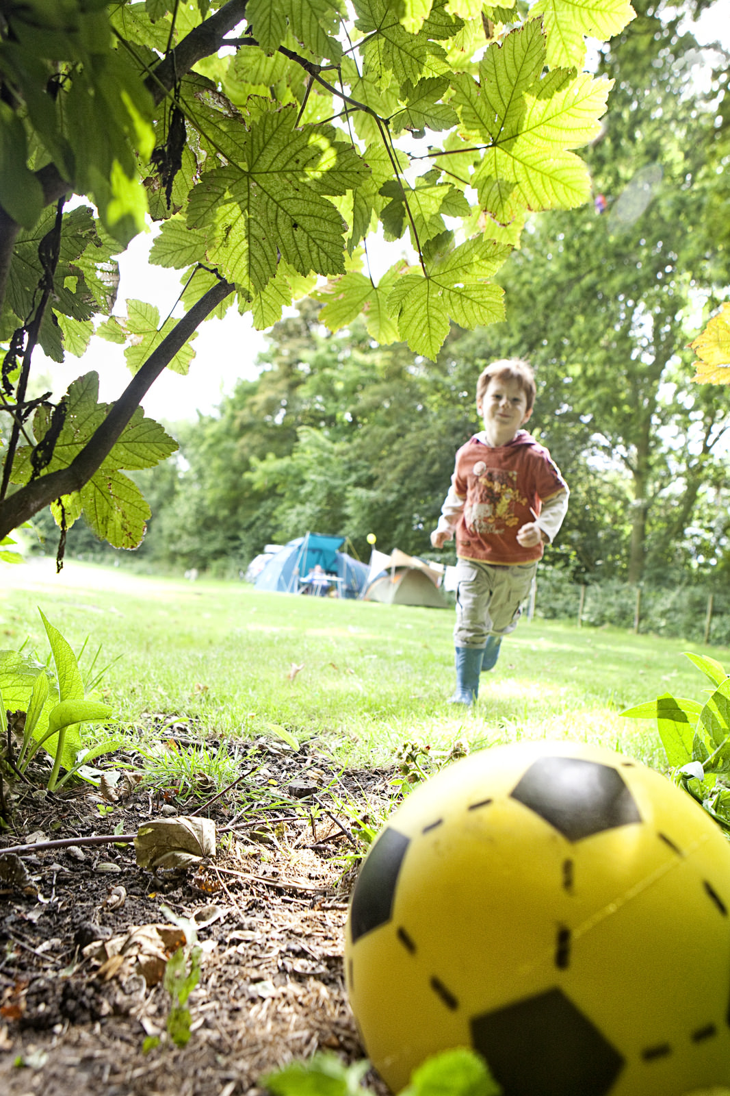 Teken bijten bij kinderen vaker in hoofd en nek