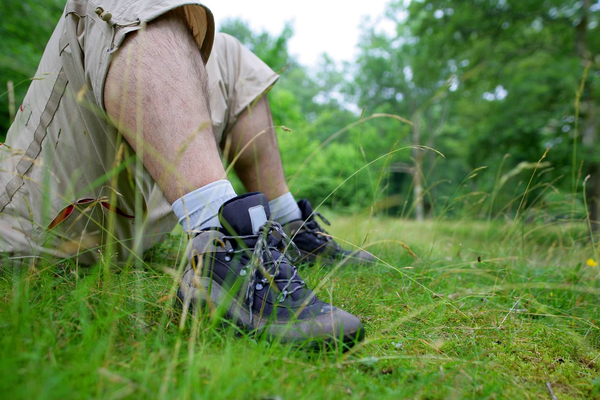 Zomerse piek in activiteit van besmette teken valt samen met piek in tekenbeetmeldingen